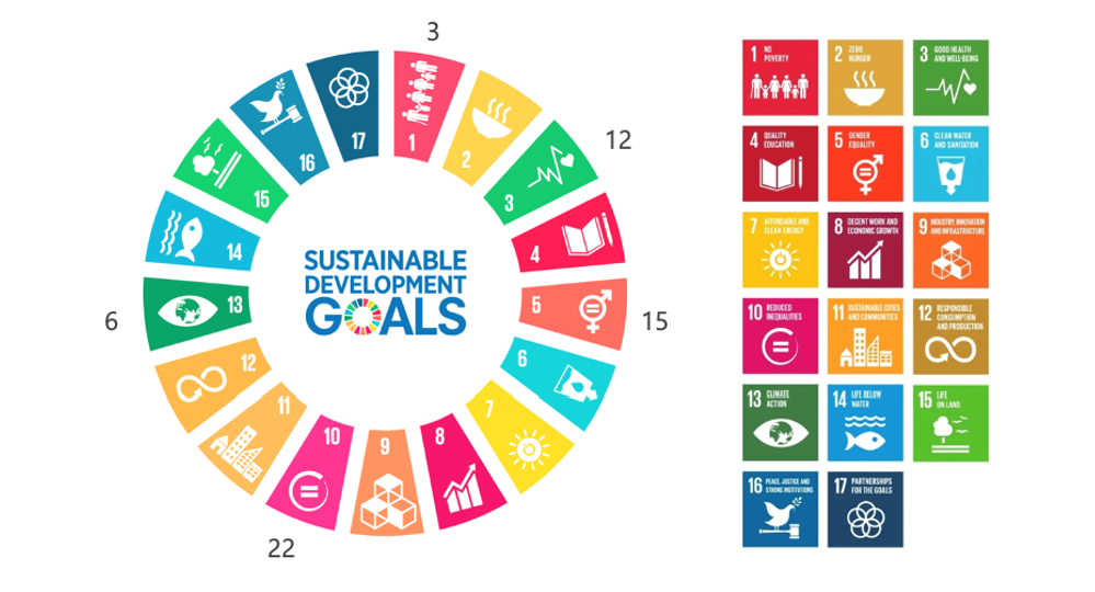 Source. Own elaboration, based on the data collected and considering SDGs figures