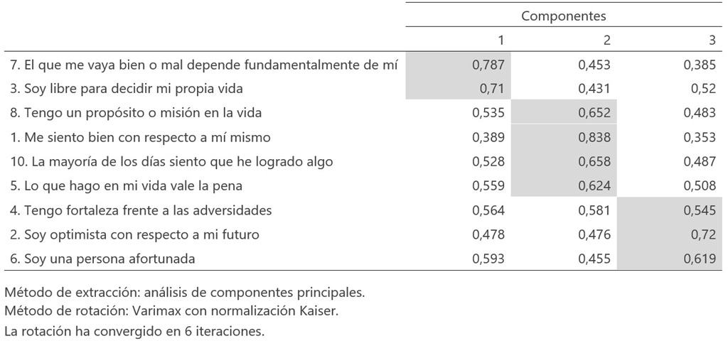 Fuente. Elaboración propia.
